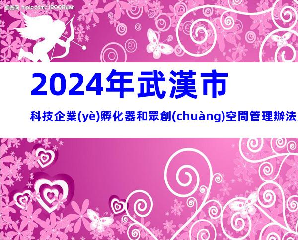 2024年武漢市科技企業(yè)孵化器和眾創(chuàng)空間管理辦法解析，申報(bào)條件、流程