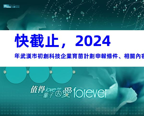 快截止，2024年武漢市初創科技企業育苗計劃申報條件、相關內容
