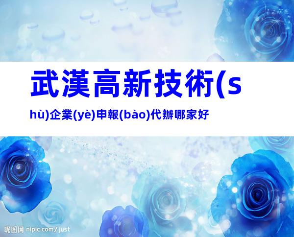 武漢高新技術(shù)企業(yè)申報(bào)代辦哪家好