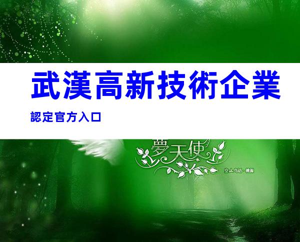 武漢高新技術企業認定官方入口